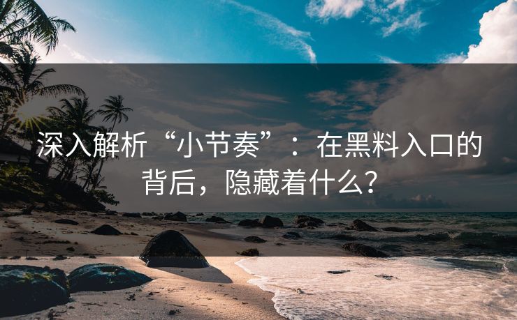 深入解析“小节奏”：在黑料入口的背后，隐藏着什么？
