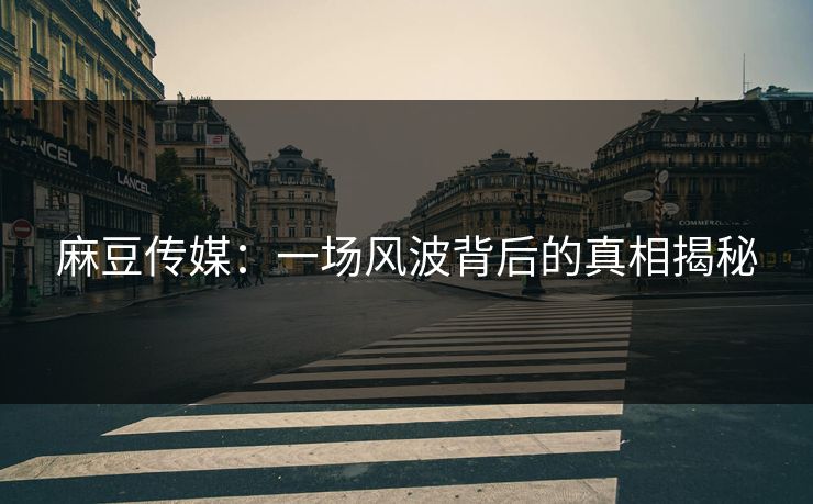 麻豆传媒:一场风波背后的真相揭秘