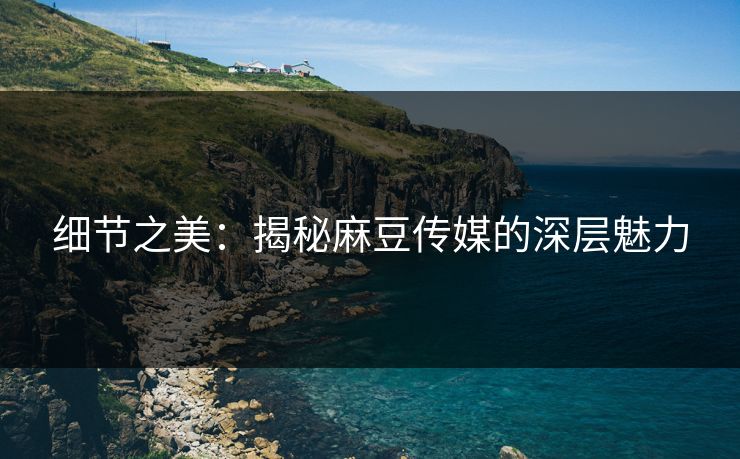 细节之美:揭秘麻豆传媒的深层魅力